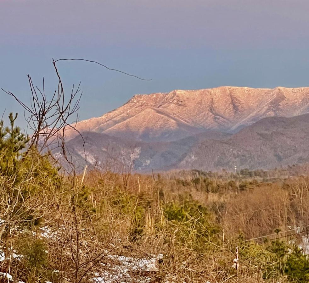 Picadilly Perch Villa Gatlinburg Exterior photo